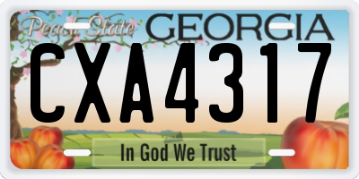 GA license plate CXA4317