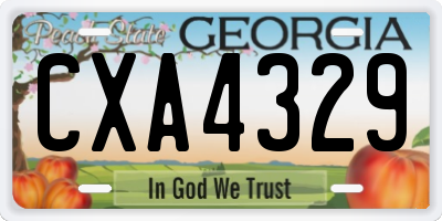 GA license plate CXA4329