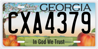 GA license plate CXA4379