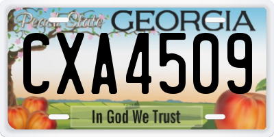 GA license plate CXA4509