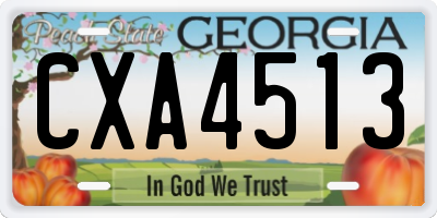 GA license plate CXA4513