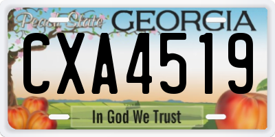 GA license plate CXA4519