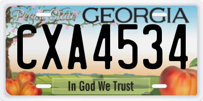 GA license plate CXA4534