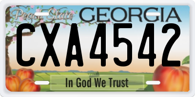 GA license plate CXA4542