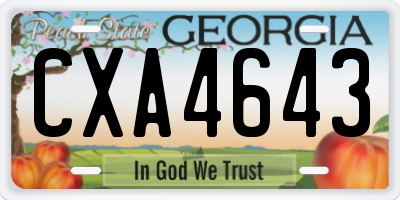 GA license plate CXA4643