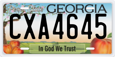 GA license plate CXA4645