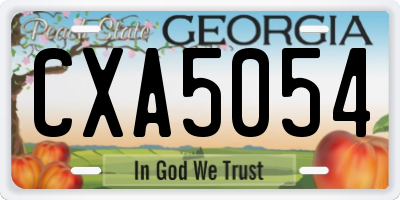 GA license plate CXA5054
