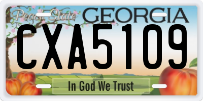 GA license plate CXA5109