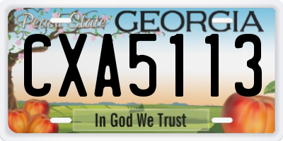 GA license plate CXA5113