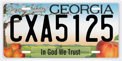 GA license plate CXA5125