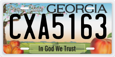 GA license plate CXA5163