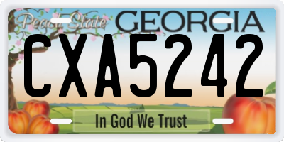 GA license plate CXA5242
