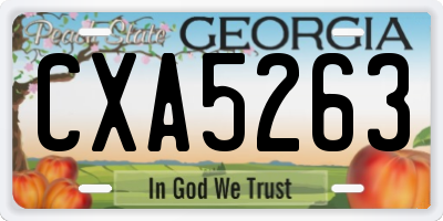 GA license plate CXA5263