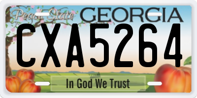 GA license plate CXA5264