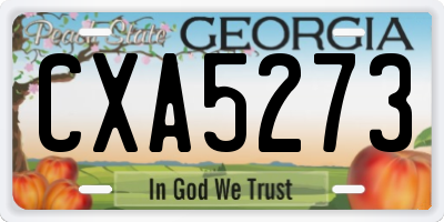GA license plate CXA5273