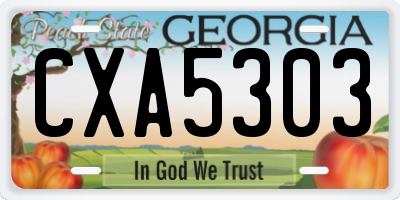 GA license plate CXA5303