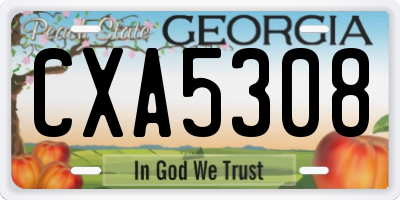 GA license plate CXA5308