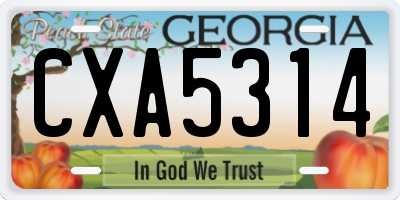 GA license plate CXA5314
