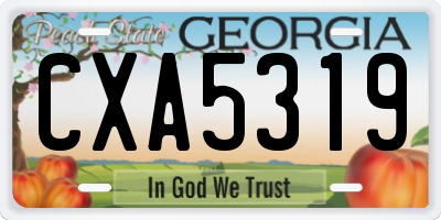 GA license plate CXA5319