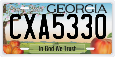 GA license plate CXA5330