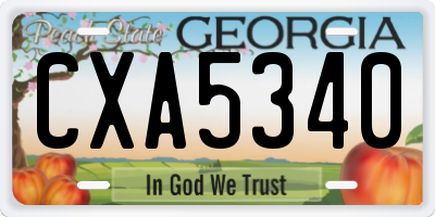 GA license plate CXA5340