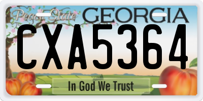 GA license plate CXA5364