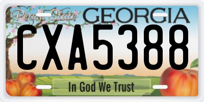 GA license plate CXA5388