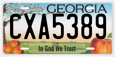 GA license plate CXA5389