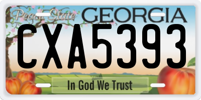 GA license plate CXA5393