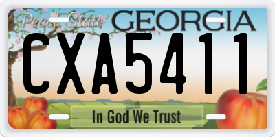 GA license plate CXA5411