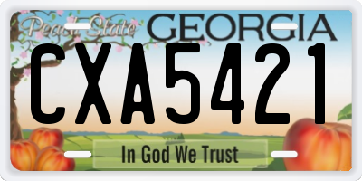 GA license plate CXA5421