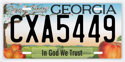 GA license plate CXA5449