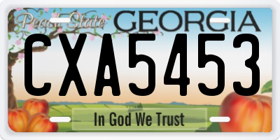 GA license plate CXA5453