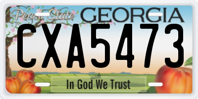 GA license plate CXA5473