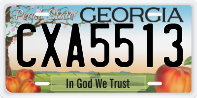 GA license plate CXA5513