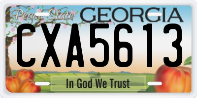 GA license plate CXA5613
