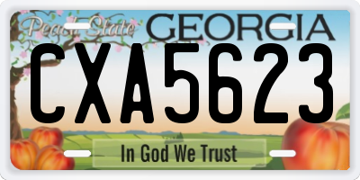 GA license plate CXA5623