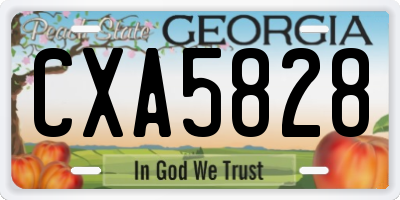 GA license plate CXA5828