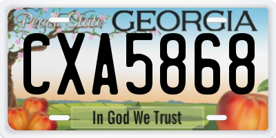 GA license plate CXA5868