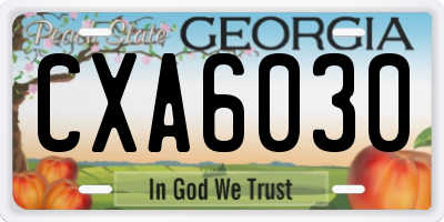 GA license plate CXA6030