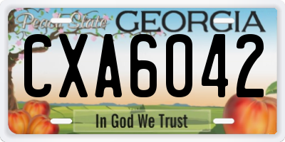 GA license plate CXA6042