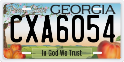 GA license plate CXA6054