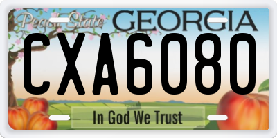 GA license plate CXA6080