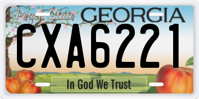 GA license plate CXA6221