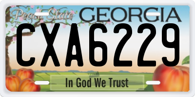 GA license plate CXA6229