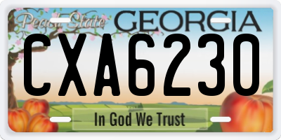 GA license plate CXA6230