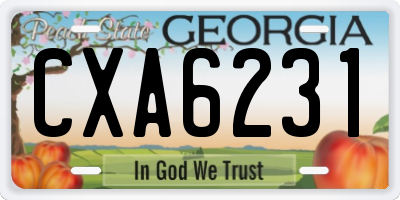 GA license plate CXA6231