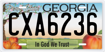 GA license plate CXA6236