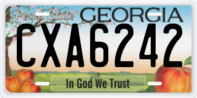 GA license plate CXA6242