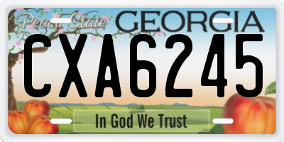 GA license plate CXA6245